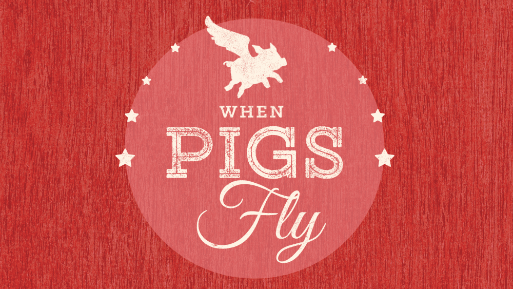 When Pigs Fly